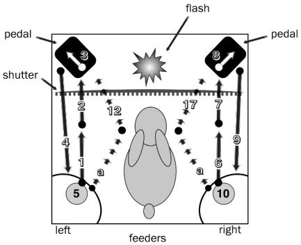 Figure1