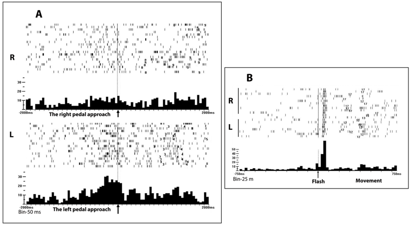 Figure2